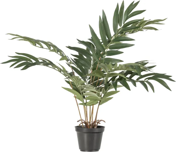 Kwai, Planta Artificial, verde, A68xL50xP51 cm