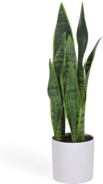 Sansevieria, planta artificial, branca, H55x18x19 cm