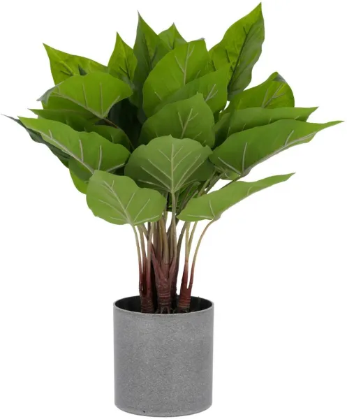 Anthurium, planta artificial, verde/cinza, H50x40x40 cm