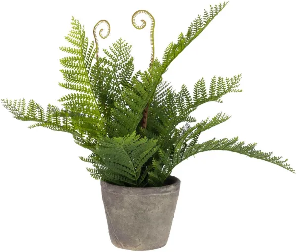 Filicopsida, Planta artificial, verde/cinza, H35x40x40 cm