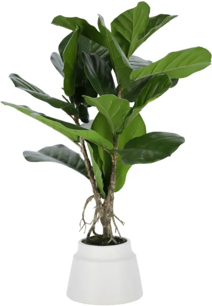 Lyrata, Planta artificial, verde/branco, H60x30x30 cm